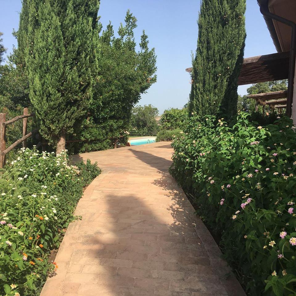 Tenuta Saracone Montalto di Castro Exterior foto